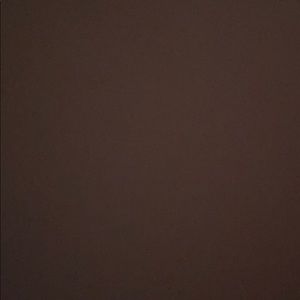 Meet your Posher, Shahinshah